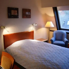 Отель Hotell Refsnes Gods 4* Стандартный номер с различными типами кроватей фото 3
