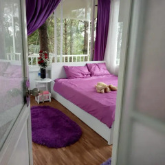 Отель Pine Hill Homestay Dalat комната для гостей фото 2
