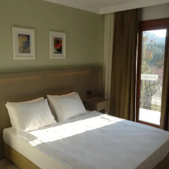 Hotel Pine Valley 4* Стандартный номер с различными типами кроватей фото 9