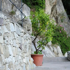 Отель Villa Sasso Меран фото 2