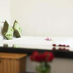 Serenity Villa Hotel 3* Люкс с различными типами кроватей фото 5