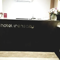 Hotel Irene City бассейн