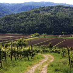 Отель Fattoria Le Vegre Италия, Лимена - отзывы, цены и фото номеров - забронировать отель Fattoria Le Vegre онлайн спортивное сооружение