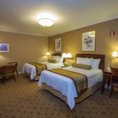 Wellington Hotel 3* Стандартный номер с различными типами кроватей фото 8