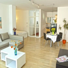 Отель Viennaflat Apartments - 1010 Австрия, Вена - отзывы, цены и фото номеров - забронировать отель Viennaflat Apartments - 1010 онлайн комната для гостей фото 3