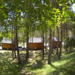 Отель Camping Fontfreda детские мероприятия фото 2