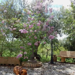 Отель Agriturismo Fonte di Maroglio Кастровиллари фото 7
