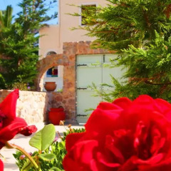 Отель Kalya Suites спортивное сооружение