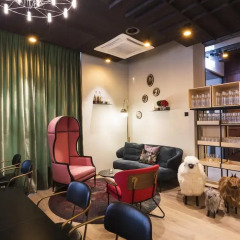 Best Western Hotel Bristol развлечения
