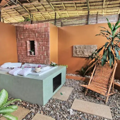 Отель Mangosteen Ayurveda & Wellness Resort 4* Номер Делюкс с двуспальной кроватью фото 10