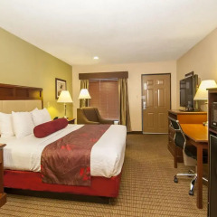 Отель Best Western Vicksburg Inn 2* Стандартный номер с различными типами кроватей фото 9