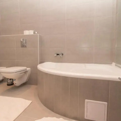 Отель Butterfly Home Danube 3* Стандартный номер с различными типами кроватей фото 5