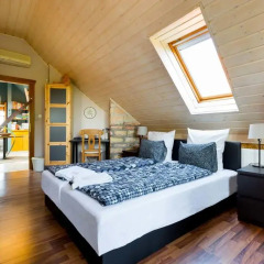 Отель Dream Homes Private Villa Венгрия, Будапешт - отзывы, цены и фото номеров - забронировать отель Dream Homes Private Villa онлайн комната для гостей фото 4