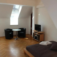 Отель Vienna's Place City-Apartment Gumpendorferstraße Австрия, Вена - отзывы, цены и фото номеров - забронировать отель Vienna's Place City-Apartment Gumpendorferstraße онлайн удобства в номере