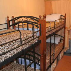 Hostel HostAl Irkutsk Кровать в мужском общем номере с двухъярусной кроватью