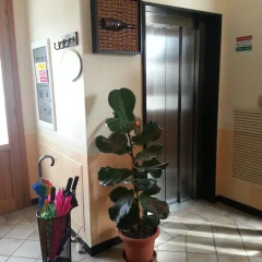 Отель La Locanda di San Biagio Италия, Генуя - отзывы, цены и фото номеров - забронировать отель La Locanda di San Biagio онлайн интерьер отеля