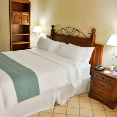 Hotel Plaza Del General 3* Полулюкс с различными типами кроватей фото 5