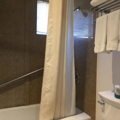 Отель Buena Vista Motor Inn 2* Стандартный номер с различными типами кроватей фото 24