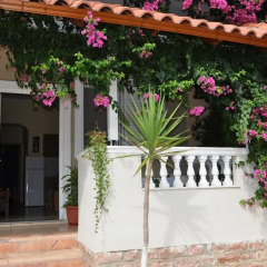 Отель Vila Alvin 3* Апартаменты с различными типами кроватей фото 14