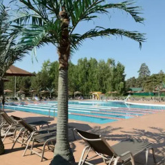 Гостиница Борвиха SPA бассейн фото 3