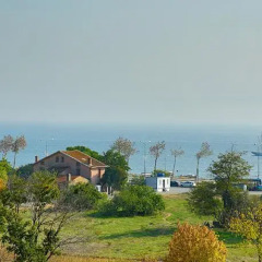 Tuzla Anı Hotel Турция, Стамбул - отзывы, цены и фото номеров - забронировать отель Tuzla Anı Hotel онлайн пляж фото 2