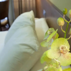 Sterling Hotel 3* Стандартный номер с различными типами кроватей фото 6
