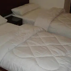 Transit Alexandria Hostel Улучшенный номер с различными типами кроватей фото 5