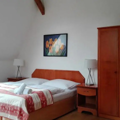 Hotel Jana / Pension Domov Mladeze Номер Комфорт с различными типами кроватей фото 6