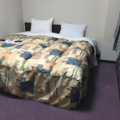 Shinseto Station Hotel 2* Стандартный номер фото 4
