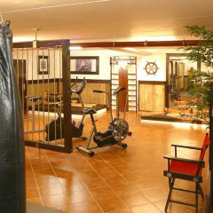 Airport Regentpark Hotel фитнесс-зал