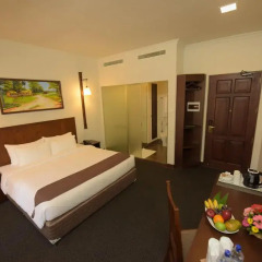 Hotel Nippon Colombo 3* Стандартный номер с двуспальной кроватью фото 9