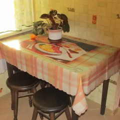 Гостиница Graevo Apartment Беларусь, Брест - отзывы, цены и фото номеров - забронировать гостиницу Graevo Apartment онлайн в номере фото 2