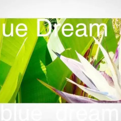 Отель Chambres d'Hotes Blue Dream Франция, Канны - отзывы, цены и фото номеров - забронировать отель Chambres d'Hotes Blue Dream онлайн спа фото 2