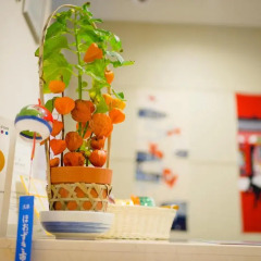 Отель Super Hotel Asakusa Япония, Токио - отзывы, цены и фото номеров - забронировать отель Super Hotel Asakusa онлайн в номере