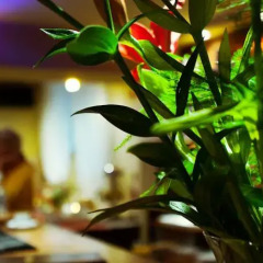 Nu Hotel фитнесс-зал