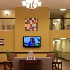 Отель Holiday Inn Express & Suites Sarasota East развлечения