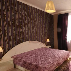 Апартаменты Emigrant apartment спа
