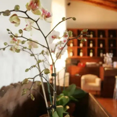 Отель Malhadinha Nova Country House & Spa питание фото 2