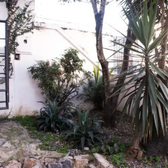 Отель Iguana Boutique Колумбия, Кали - отзывы, цены и фото номеров - забронировать отель Iguana Boutique онлайн