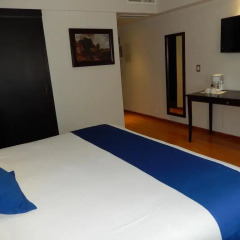 Hotel Roma Guadalajara 3* Номер Делюкс с различными типами кроватей фото 2