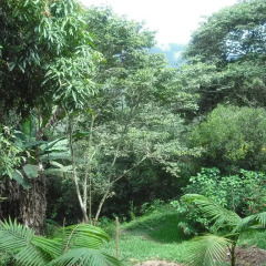 Hotel Cabanas Paradise фото 4