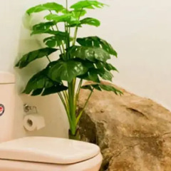 Отель Blanca Cottage Унаватуна ванная
