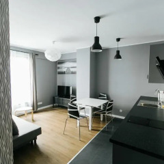 Отель Renttner Apartamenty Студия с различными типами кроватей фото 23
