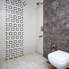 Hotel Ashoka International 3* Стандартный номер с различными типами кроватей фото 7