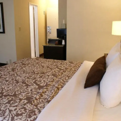 Отель Royal Palace Westwood 2* Стандартный номер с различными типами кроватей
