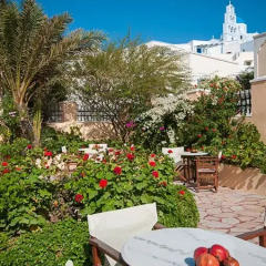 Отель Donna's House Santorini Греция, Остров Санторини - отзывы, цены и фото номеров - забронировать отель Donna's House Santorini онлайн приотельная территория