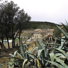 Отель El Mangranar