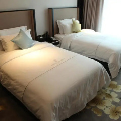 Yingshang Fanghao Hotel 3* Номер Бизнес с 2 отдельными кроватями фото 6