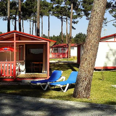 Отель Parque de Campismo Orbitur Sao Pedro De Moel 3* Бунгало разные типы кроватей фото 5