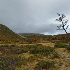 Отель Skjerdingen Høyfjellshotel фото 11